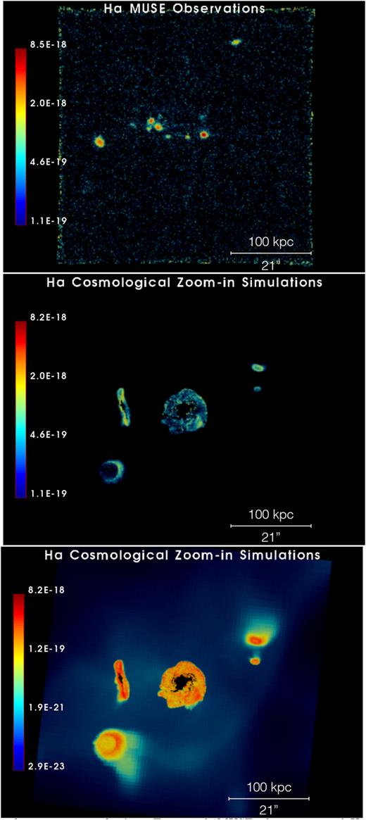 The environment of zabs ∼ 0.3 galaxies. Top panel: MUSE observations of H α emission surface brightness (in erg s−1 cm−2 arcsec−2) at z = 0.313 in the field of Q1130−1449. Every coloured object in this (continuum-subtracted) MUSE pseudo-narrow-band image indicates H α emission at the redshift of the absorber. Middle panel:ramses amr cosmological zoom-in hydrodynamical simulations post-processed with photoionization models (Augustin et al., submitted). This MUSE-size field (1 × 1 arcmin, i.e. 300 kpc at z = 0.313) of H α emission surface brightness (in erg s−1 cm−2 arcsec−2) shows a halo with an SFR, stellar, and halo masses typical of strong-H i quasar absorbers. The flux colour bar matches the MUSE observations. Bottom panel: Same figure with the minimum flux cut-off almost four orders of magnitude fainter than in the middle panel. The simulations show the presence of multiple galaxies at the same redshift with a broad range of masses as observed in the field of Q1130−1449. In addition, the predicted surface brightness from the simulations is comparable to our H α MUSE observations indicating that collisional and photoionization in combination can be the physical processes at the origin of the emission seen in the observations. These results demonstrate that the brightest components of the CGM of low-redshift galaxies can be probed with current observations of the emission, while the diffuse gas in between objects is at present best traced in absorption. These findings add to the paradigm shift where our former view of strong-$N(\rm H\, {\small I})$ quasar absorbers being associated with a single bright galaxy changes towards a picture where the H i gas probed in absorption is related to far more complex galaxy structures.