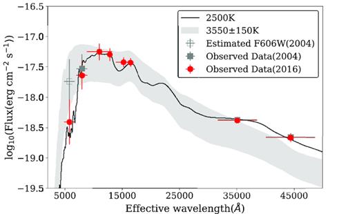 The grey squares and red circles are the SED of the progenitor observed in 2004 and 2016, respectively. The best-fitting result of the observed SED in 2016 with theoretical MARCS stellar spectra indicates the progenitor to be a RSG with effective temperature of 2500K. The open square is the estimated F606W-band result in 2004. And the grey shadow region is the distribution of the SED inferred from the MARCS stellar spectra model with a radius of 636 ± 155 R⊙.