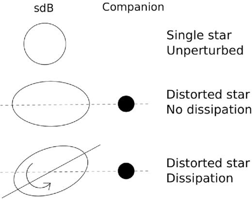 Schematic diagram of tidal interactions. The first panel shows a single, unperturbed star. The second panel shows a tidally distorted star which is either tidally synchronized or has no dissipation. The tidal bulge lies along the line connecting the centre of masses of the binary system. The final panel shows a non-synchronously rotating, tidally distorted star with a dissipation mechanism. The tidal bulge lags or leads the line connecting the centre of masses of the stars. This produces a torque which spins the star either up or down until it is rotating synchronously.