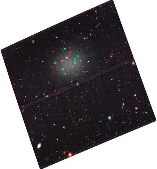 Globular clusters surrounding [KKS2000]04. The red circles correspond to the GCs detected in van Dokkum et al. (2018b), whereas the blue circles indicate the location of the new GC candidates proposed in this work.