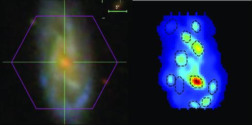 Example of the H α clumps identification in a galaxy. Left: Field of view of MaNGA (the pink hexagon) superimposed on the SDSS coloured image of the galaxy. Right: Map of the H α flux distribution showing the regions identified as H α-emitting clumps.
