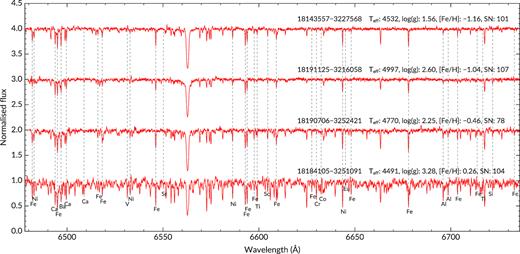 Example HERMES spectra in the ‘red’ wavelength region (which includes the H α line), normalized and shifted to rest using the guess code (Section 4). The stars’ 2MASS identification, SNR (per pixel), and sme-derived parameters are shown. Most of the lines used for stellar parameters and abundance analysis have been labelled.