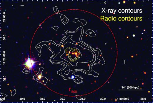 Composite optical image of the serendipitously detected cluster 3XMM J011934 from the SDSS-III data (g, r, and i bands). The X-ray contours (0.3–2 keV, XMM–Newton EPIC) are overplotted in white. The radio contours (1.4 GHz, VLA) are overplotted in the dashed yellow. We also show our best estimate of r500 (0.93 Mpc; the dashed red circle).