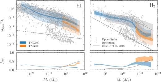 Gas fractions of atomic (left) and molecular hydrogen (right) as a function of stellar mass at z = 0. The grey lines and shaded areas show the inferred median gas fractions and 68 per cent scatter according to the compilation of C18. These values refer only to galaxies whose gas fractions lie above the dashed lines. The distributions of lower gas fractions could not be reliably determined in C18; their fractional contribution is shown in the bottom panels. As a result, the median gas fractions in the top panels can appear different from those shown in C18, especially at high stellar masses where many galaxies fall below the threshold. The simulation data are analysed in the same way, i.e. by separately counting galaxies that fall below the lower limits. The darker shaded areas show the area covered by all nine H i/H2 models used and can be interpreted as a systematic uncertainty. The lighter shaded area indicates the mean 68 per cent scatter, i.e. the mean of the scatter contours according to the different models. The detections and upper limits used in the C18 analysis are shown as grey dots and arrows (combining both their LTG and ETG samples). See Section 4.3 for a detailed discussion of these results.