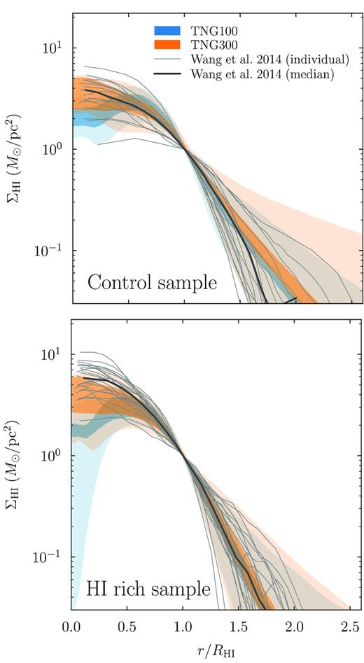 Median radial profiles of the H i surface density. The light shaded areas show the 68 per cent scatter. As the profiles are scaled to RH i, they overlap at ΣH i = 1 M⊙ pc−2 by definition. The grey lines show individual galaxies and the median for the Bluedisk sample of Wang et al. (2014). The top panel shows their control sample (109.1 < MH i < 109.8 M⊙), and the bottom panel their H i-rich sample (MH i > 109.8 M⊙).