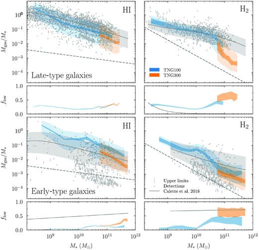 Same as Fig. 3, but with the galaxy sample split into LTGs (top row) and ETGs (bottom row) by the concentration of their stellar mass. The C18 constraints are derived directly from their best-fitting distributions. The match to observations is somewhat worse than for the overall sample, highlighting that the gas content of IllustrisTNG galaxies does not correlate with morphology as observed in the real Universe.