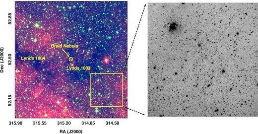 Left-hand panel: IR view (red: WISE W3, green: WISE W1, blue: 2MASS Ks) of dark cloud Lynds 1003 and Lynds 1004 towards Cyg OB7 region. The braid nebula is also marked. Our optical FOV is marked in yellow square. Right-hand panel: Optical I-band image of our studied region (yellow square in the left-hand panel) was observed using 1.3m DFOT. See the text for details.
