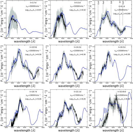VLT (+FORS2) spectra of SN 2016jca in the rest frame (black) and the best-fitting models (blue) at nine epochs. These models have a decreasing 56Ni abundance as a function of decreasing velocity. The spectra are corrected for Galactic extinction (E(B − V)Gal = 0.028 mag) and smoothed with a 15 Å boxcar. The host galaxy and afterglow components were subtracted. The shaded grey region represents the uncertainty related to afterglow subtraction.