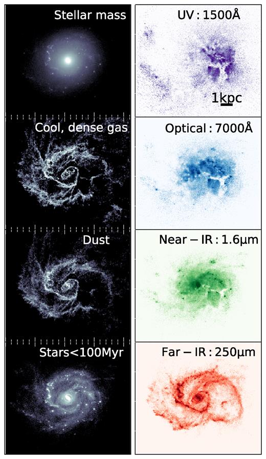 The wavelength-dependent morphology of galaxy A2 at z = 2.95, with panels as described in Fig. 2. The UV and optical light is significantly offset from the peak of the stellar mass and SFR, appearing to trace holes in the dust.