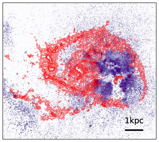 The rest-frame $1500\, {\mathring{\rm A}}$ image of galaxy A2 at z = 2.95, with 250-$\mu$m contours overlaid in red. The long- and short-wavelength emissions occupy strikingly different spatial regions. While there is recent star formation across the extent of the galaxy disc, light at short wavelengths does not escape from regions of high dust density. This leads to a spatial offset between the FUV and dust continuum emissions.