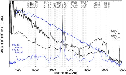 Comparison of AT 2018cow (black) to the Type IIn SN 1998S (blue). Many high-ionization spectral lines typically seen in interacting SNe are labelled, but not all are necessarily identified in each spectrum.