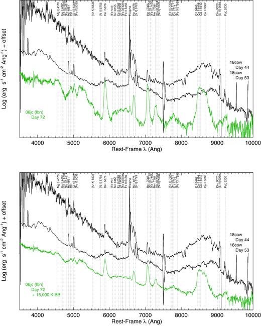 (Top) Comparison of AT 2018cow (black) with the Type Ibn SN 2006jc (green). (Bottom) The spectrum of SN 2006jc is combined with a 15 000 K blackbody spectrum that represents the optically thick photosphere. Many high-ionization spectral lines typically seen in interacting SNe are labelled, but not all are necessarily identified in each spectrum.