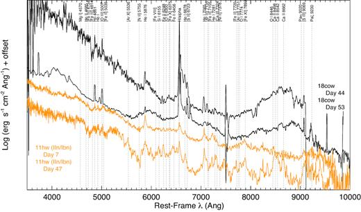 Comparison of AT 2018cow (black) with the Type IIn/Ibn SN 2011hw (orange). Many high-ionization spectral lines typically seen in interacting SNe are labelled, but not all are necessarily identified in each spectrum.