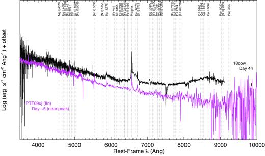 Comparison of AT 2018cow (black) with the Type IIn PTF09uj (magenta). Many high-ionization spectral lines typically seen in interacting SNe are labelled, but not all are necessarily identified in each spectrum.