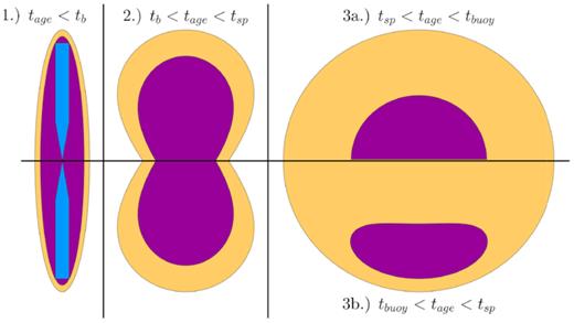 The three phases of evolution for AGN-driven bubbles and shocks. Panel (1) is the jet phase, and panel (2) is the bipolar lobes phase. Panels (3a) and (3b) show the quasi-spherical phase, respectively, for the case of no buoyancy (top) and appreciable buoyancy (bottom). Blue is the collimated jet, purple is the cocoon, and yellow is the shocked ambient medium.