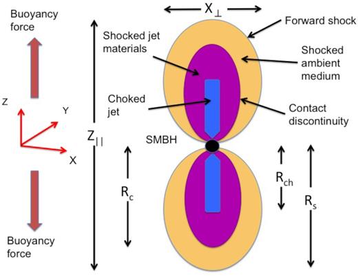 Schematic figure for the choked jet model during the bipolar lobes phase.