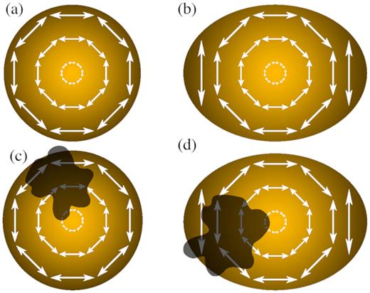 Illustration of the mechanism by which polarization arises. (a) In case of a spherical SN photosphere, we will observe a net polarization of p = 0. (b) In case of an aspherical photosphere, we will observe a net continuum polarization p > 0. (c) If there is an inhomogeneous distribution of material in front of the spherical photosphere, it will obscure part of the polarized light, and we will observe polarization across spectral lines only. (d) An aspherical photosphere with an inhomogeneous distribution of material in front of the photosphere would produce both continuum and line polarization.