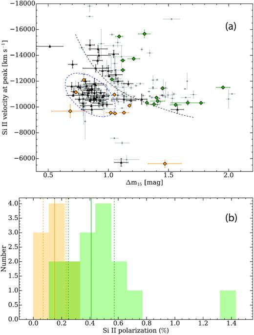 (a) SNe Ia in the $\Delta m_{15}\!-\!v_{\rm Si\, \small {II}}$ plane. The orange and green diamonds represent the VLT sample, which is divided into Chandrasekhar-like (orange diamonds) and sub-Chandrasekhar SNe (green diamonds). The sample from Zheng et al. (2018) (black dots) is consistent with the sample from the Open Supernova Catalog (grey dots). The dashed blue ellipse marks the ‘cluster’ of Chandrasekhar-like SNe, which may be a distinct population of SNe Ia, relative to the sub-Chandrasekhar SNe that are located along the numerical predictions for sub-Chandrasekhar white dwarfs with a thin He shell (grey dashed line; Polin et al. 2019). (b) Distribution of the peak polarization of the Si ii line for the VLT sample in part (a) located above the $\Delta m_{15} \!-\! v_{\rm Si\, \small {II}}$ prediction of Polin et al. (2019) (green colour), compared to the subsample in the ‘cluster’ (orange colour), under the numerical prediction. The average polarization of the SNe in the cluster is $p_{\rm Si\, \small {II}}$ = 0.15 ± 0.08 per cent, and the average polarization of the SNe above the $\Delta m_{15} \!-\! v_{\rm Si\, \small {II}}$ prediction is $p_{\rm Si\, \small {II}}$ = 0.41 ± 0.16 per cent (after excluding SN 2004dt).