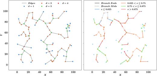 The MST constructed from 100 random points. Left-hand panel: the MST edges are shown. Nodes are colour coded according to their degree, i.e. the number of edges attached to them. Right-hand panel: the MST branches are colour coded according to their branch shape parameter (s). Edges that form branch ends are indicated by solid lines while edges forming the middle of branches (branch mids) are indicated by dotted lines.