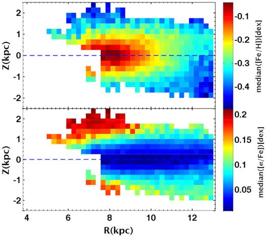 This figure shows the metallicity distribution function and abundance distribution function; there are clear gradients for thin and thick disc stars in the R, Z plane. This figure’s axes correspond to Fig. 3.