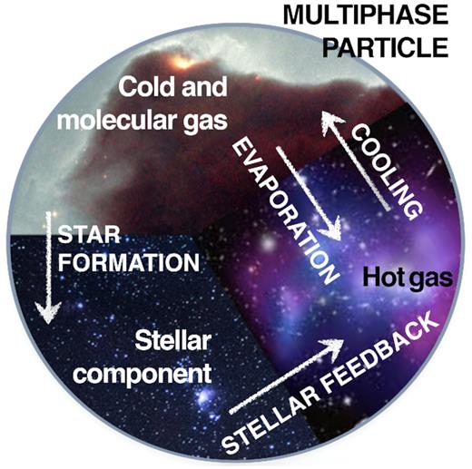 Cartoon showing the composition of a multiphase gas particle within the MUPPI model. Mass and energy flows among different components are highlighted with arrows.