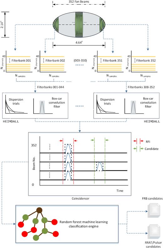 A schematic of the SMIRF single pulse acquisition and data analysis pipeline. The primary beam is tiled with 352 fan beams, equally spaced across 4° of sky. The fan beams produce detected time series at 327 µsec and 97 kHz resolution, which are dedispersed in the DM range 0–2000 pc cm−3 and box car searched for single pulses down to S/N = 9. A random forest machine-learning algorithm classifies candidates as RFI and potential astrophysical signals. Pulses from known pulsars are flagged and retained separately. Candidate pulses may trigger a voltage dump if they have sufficiently high DM (as part of the search for FRBs; see Farah et al. 2018).