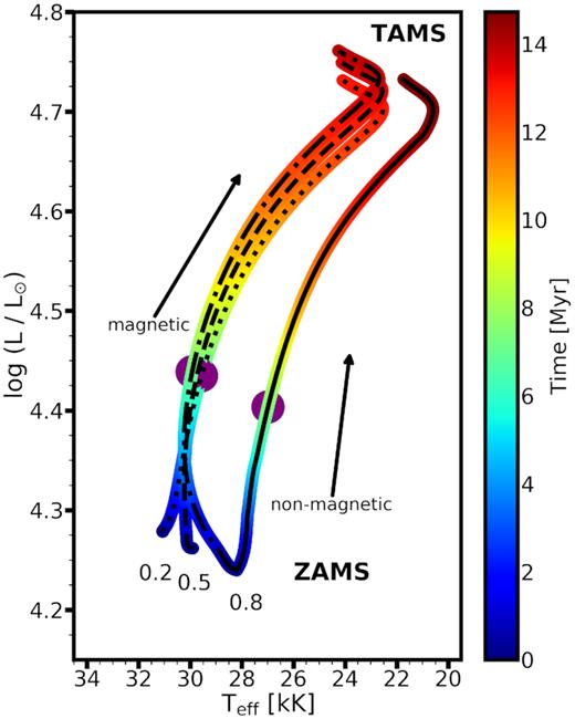 Models with different initial ratios of Ω/Ωcrit (indicated next to the tracks: 0.2 dotted line, 0.5 dashed line, 0.8 dash–dotted line, respectively) are shown in the case of the 15 M⊙ models with an initial polar field strength of 3 kG. A reference non-magnetic model (solid line) is also shown with the same mass and an initial ratio of Ω/Ωcrit = 0.8. The colour coding indicates the time after ZAMS and the purple markers show the location at which the model is exactly half-way through its main-sequence lifetime. Models with surface magnetic braking are shown.