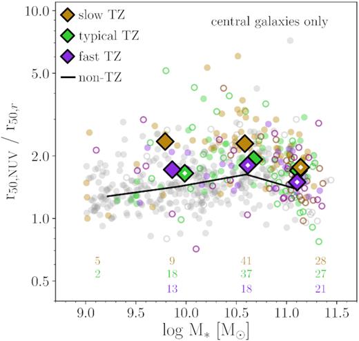 Only central galaxies are plotted, using different colours for those in the TZ with short H i depletion times (fast, purple), average depletion times (typical, green), and long (slow, brown). Grey symbols indicate central galaxies outside of the TZ. Solid symbols denote H i detections, and open show upper limits of non-detections. Large diamonds show medians (including detections and non-detections) in bins of stellar mass (when fewer than 50 per cent are detected, the diamonds are open). Numbers at the bottom indicate how many galaxies are in each binned median. The black line connects medians of the non-TZ central galaxies. TZ central galaxies show a trend with the UV-to-optical size ratio such that those with longer (slower) depletion times have larger ratios.
