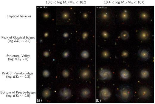 Sample SDSS postage stamps for G09 galaxies with redshifts z ∼ 0.04. Panel (a) shows galaxies with 10.0 < log M*/M⊙ < 10.2, and panel (b) shows galaxies with 10.4 < log M*/M⊙ < 10.6. The top row shows E’s according to G09 that also have P(Ell) > 0.65 according to Huertas-Company et al. (2011). The other four rows are arranged downward by ΔΣ1. E’s and C-bulges peak around log ΔΣ1 ∼ +0.2, while P-bulges peak around log ΔΣ1 ∼ −0.3. Galaxies with log ΔΣ1 ∼ 0 are in the SV. Galaxies with log ΔΣ1 ∼ −0.5 are at the bottom of the log ΔΣ1–M* diagram. The two white circles in the upper left corners have a radius of 1 kpc, which is the region where Σ1 is calculated. Similar figures were presented in Fang et al. (2013) and G09.
