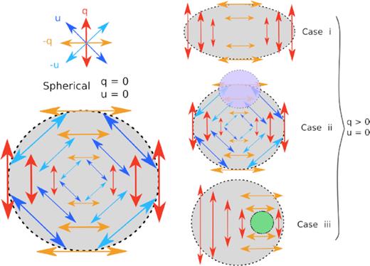 Schematic representation of the normalized Stokes parameters arising from scattering out of four idealized configurations of the photosphere (see Section 1 for more details). By convention, q is oriented in the North–South direction. The structure in the lower left illustrates that for a spherical photosphere the Stokes parameters would cancel out completely, as opposed to the cases shown on the right. We note that for Cases i and iii, the u and −u normalized Stokes parameters are not shown for clarity and to emphasize the difference between the q and −q components. In Case ii, the purple clump represents an asymmetrically distributed absorption region. In Case iii, the green circle illustrates an asymmetrically distributed energy input, e.g. a clump of nickel. This sketch is adapted from fig. 1.9 of Stevance (2019).