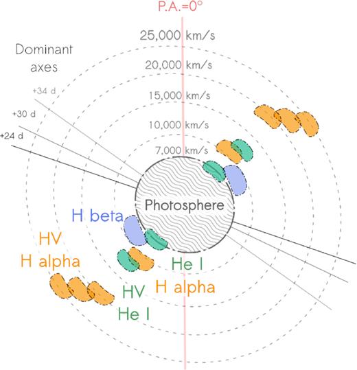 Visualization of the features of SN 1993J based on our first three epochs of spectropolarimetric data. The details of how this illustration was built are given in Section 5.3 – we note that since Stokes parameters are pseudo-vectors, unavoidable artificial symmetry is introduced. The figure shows the SN projected on to the plane of the sky. However, the clumps are rotated through −90° and +90°, respectively, about the symmetry axis of the epoch of each observation to indicate their velocities. In reality, the absorption character of the corresponding spectral features implies that the clumps are located between the photosphere and the observer.