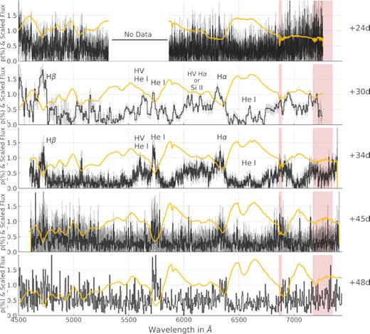 ISP corrected degree of polarization of SN 1993J (black) and scaled flux spectrum (yellow). The errors on the polarization are shown in grey; we do not have error bars for the last epoch. The red shaded areas show the telluric line regions. The spectropolarimetric feature IDs are also given; the HV H α and Si ii are discussed in Section 5.2.1.