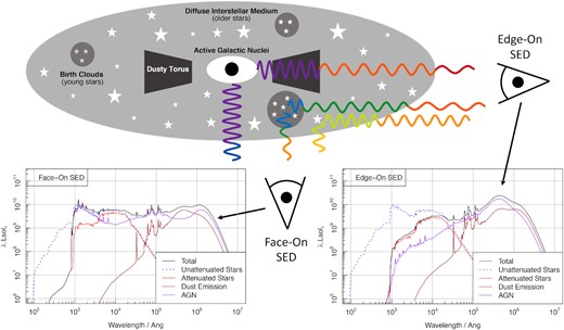 Schematic view of the impact optical depth has on the observed SED. Here, a galaxy with a constant star formation history (1 M⊙ yr-1 for 13 Gyr) and a moderately powerful AGN (1044 erg/s) is viewed face-on (light rays coming out of the bottom of the galaxy schematic) and edge-on (light rays coming out the right of the schematic). The respective SEDs are shown in the bottom left-hand and bottom right-hand panels. The general effect is that the edge on view is significantly more attenuated (a lot less blue flux is observed in the output), and there is significantly more flux on the FIR that is re-emitted by dust. In this example, the face-on SED is dominated by AGN light at blue and cold FIR wavelengths, but in the edge-on view the AGN instead dominates at hotter dust temperatures, having been strongly attenuated by its own dusty torus.