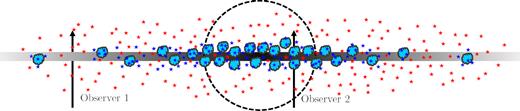 Schematic diagram showing an edge-on view of a SF spiral galaxy. Depicted are four key components: a diffuse, dusty ISM with a radial gradient (grey); dusty, clumpy BCs surrounded by H ii regions (light blue clouds); young stars either embedded in, or still closely associated with, these BCs (dark blue stars); and intermediate / old stars further from their BCs (the red stars). No assumptions are made about the bulge of the galaxy (the black-dashed line). Shown also are the lines of sight of two observers. Observer 1 will see a small amount of dust attenuation affecting the stellar populations, but no dust attenuation due to the clumpy BCs; Observer 2, however, will see high dust attenuation both due to the diffuse ISM and the clumpy BCs. The results in this work suggest that in addition to the presence of a diffuse, dusty ISM, SF spiral galaxies also exhibit a higher concentration of young stars and dusty BCs nearer to their central regions than at their outskirts.