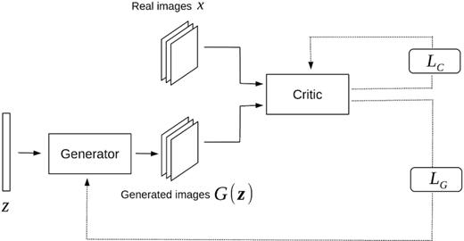 Schematic representation of the WGAN training. Given a batch of real and generated images, the critic is trained for ncritic iterations to approximate the Wasserstein distance, by minimizing Lc whilst keeping the weights of the generator fixed. Afterwards, the generator’s weights are updated for a single iteration, whilst the critic weights are held constant so that it minimizes the approximate Wasserstein distance.