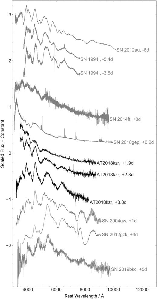 Photospheric spectra of AT2018kzr plotted alongside spectra of some fast-evolving Type Ic SNe. The spectra have features in common with AT2018kzr, helping to corroborate our line identifications. However, it is clear that the spectral shape of these other objects is redder than the early spectra of AT2018kzr. The names and phases of each SN are listed next to the spectra. The phases are relative to V-band maximum (SN 1994I; Yokoo et al. 1994), B-band maximum (SN 2004aw; Taubenberger et al. 2006), R-band maximum (SN 2012au; Takaki et al. 2013), r-band maximum (SN 2012gzk, SN 2014ft, SN 2018gep; Ben-Ami et al. 2012; De et al. 2018; Ho et al. 2019), g-band maximum (SN 2019bkc; Prentice et al. 2020), and discovery (AT2018kzr).