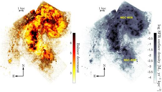 The Balmer decrement (left-hand panel) and log intrinsic Hα SFR surface density (right-hand panel) maps for the central regions of the Antennae galaxy, illustrating the wide-range range in dust obscurations and SFR surface densities sampled by the young, massive stellar clusters in the galaxy. The loop-like region west of the northern galaxy NGC 4038 is called ‘the western loop’, and the region between NGC 4038/39 that show significantly enhanced SFR surface densities is called ‘the overlap region’.