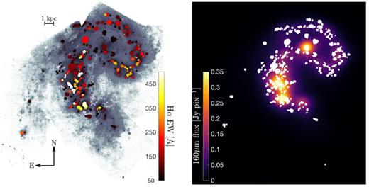 The H ii regions in a ‘starburst’ phase (i.e. Hα EW > 50 Å) overplotted on the SFR surface density map of the central regions of the Antennae galaxy and colour-coded by their average Hα EW (left-hand panel), and the same regions overplotted on the Herschel 160-μm map of the Antennae galaxy (right-hand panel). The maker size denotes the relative size of the H ii regions.
