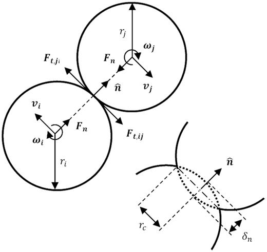 Schematic of the interaction between particles ‘i’ and ‘j’. $\boldsymbol{F}_\mathrm{ n}$ and $\boldsymbol{F}_\mathrm{ t}$ are the normal and tangential forces acting on the bodies, respectively, r is the particle radius, $\boldsymbol{v}$ is the translational velocity, $\boldsymbol{\omega }$ is the rotational velocity, $\delta _\mathrm{ n}$ is the particle overlap, $r_\mathrm{ c}$ is the radial distance of the overlapping area, and $\hat{n}$ establishes the contact normal direction. Friction moments and cohesion are not depicted.