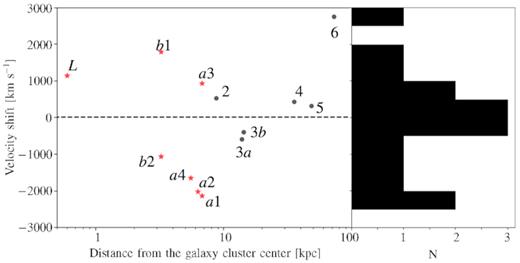 Velocity shift of all cluster members as a function of their distance from the X-ray centroid. The histogram of the velocity shifts (binned at 500 $\rm ~km~s^{-1}$) is reported on the right. The red stars and the black dots indicate the cluster members identified in this paper and in Fassbender et al. (2014), respectively.