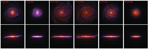 Face on (top) and edge on (bottom) mock HST images of the six highest resolution hestia LG members. The scale of the box is 30 kpc across.