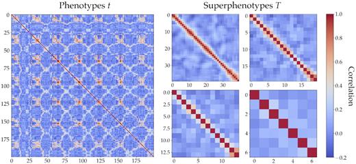 (Left half): Correlation matrix of the phenotype distribution in different patches of the simulation, showing that sample variance produces strong correlation among phenotypes. The plot shows only a subset (200 out of 1024) of phenotypes, for easier visualization. (Right half): Correlation matrices of superphenotypes that are constructed by joining phenotypes with mean p(z|t) that lie within one, two, three and six redshift bins (left to right, top to bottom).