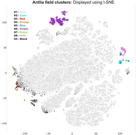 Feature space of the 25 features of the 62 354 light curves of the Antlia field collapsed down to 2 dimensions using t-SNE. The sub-groupings as outlined in Table 3 are coloured accordingly. It is important to note that t-SNE algorithm works by adapting its known notion of distance to regional density variations in the higher dimensional data, as a result t-SNE naturally expands dense clusters and contracts sparse ones when collapsed.
