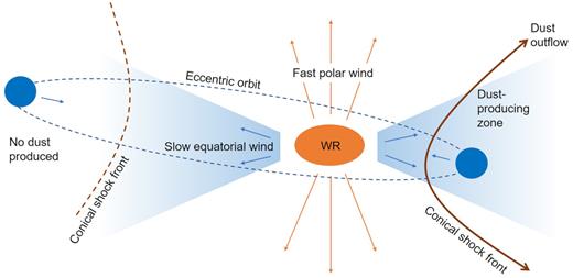 Schematic diagram of the anisotropic wind model which postulates a fast polar wind, evident in spectroscopic data, with a slow equatorial wind responsible for the more stately expansion of the dust plume. Only sectors of the orbit around periastron result in conditions suitable for dust production.