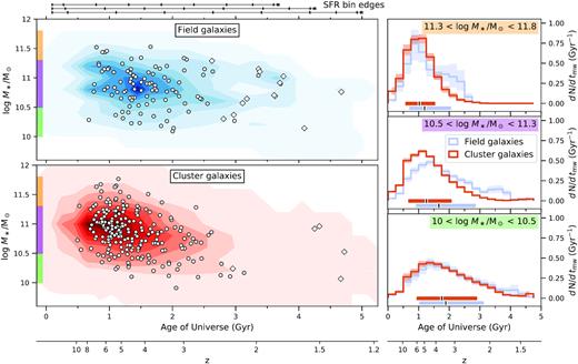 Comparison of stellar masses and mass-weighted ages between field (blue) and cluster (red) galaxies. Left: combined posteriors of stellar masses and tmw (in units of cosmic time), shown as contours. The medians of the individual posteriors are marked with white circles/diamonds. Diamonds indicate young galaxies, which have formed more than 10 per cent of their stellar mass within the last 1 Gyr (discussed in Section 4.3). Horizontal bars at the top of the figure indicate the edges of the age bins for z = 1.5 (top), z = 1.25 (middle), and z = 1 (bottom). The bins were defined in units of lookback time, and therefore do not match up for galaxies observed at different redshifts. Right: combined tmw posteriors for field and cluster galaxies, shown in three mass bins. The medians (black mark) and 68 per cent credible regions (coloured bar) of each distribution are marked at the bottom of each subplot. The shaded regions show the bootstrapped uncertainty of each histogram. Although there are field galaxies that formed as early as the oldest cluster galaxies, and cluster galaxies that formed as late as the youngest field galaxies, on average field galaxies have more extended SFHs to reach the same final stellar mass.