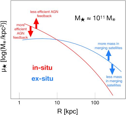 Schematic of the effect of different physical processes on the stellar mass density profile of a galaxy with $M_{\star }\sim 10^{11} \, \mathrm{M}_{\odot }$. The in situ stellar component is shown in red, while the ex-situ is in blue. The arrows point in the direction that the process in the corresponding colour would change the profile. Overcooling in massive haloes (due to lack of feedback processes) will result in an increase in mass in the inner regions. Overcooling in small galaxies at early times will result in an increased mass for those galaxies. These small galaxies are eventually accreted to form the ex-situ component resulting in an increase of mass in the outer regions of massive galaxies.