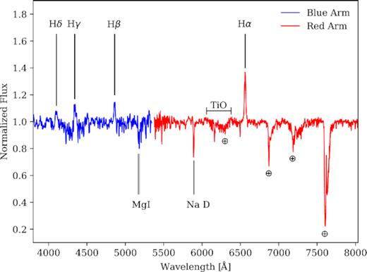 Average continuum-normalized blue and red arm ISIS spectrum for CX137 in the rest frame of the secondary. The spectra show Balmer lines in emission, associated with the accretion disc. Strong stellar features are indicated. The interstellar Na D is also marked. ⊕ denotes prominent telluric features.
