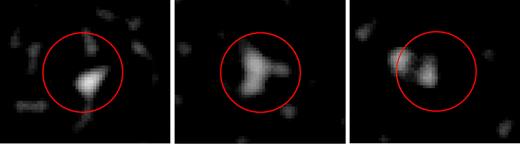 The XMM–Newton EPIC PN images, smoothed with a 5-pixel FWHM 2D Gaussian, are shown in the 0.5–2, 2–5, and 5–10 keV bands. SDSSJ1652 is centred with the circular 15-arcsec extraction region indicated. The photometry is shown in Table 2.