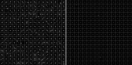 As Fig. 2, but showing a larger sample of objects within cluster 1 (left-hand panel) and cluster 10 (right-hand panel). The images are organized row-wise in order of membership probability. The nature of the extraction of flat clusters from the condensed tree structure produced by hdbscan means that the sequence of cluster labels (in this case 1–10) forms a natural morphological sort, from highly extended and complex radio morphologies in cluster 1 to compact point sources in cluster 10.