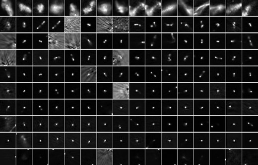 As Fig. 2, but showing examples of galaxies assigned to clusters via soft clustering that hdbscan originally failed to classify (i.e. ‘noise’). In cluster 1 we can see that the sources are typically large and diffuse systems comparable to the size of the thumbnail. The general appearance of the sources in each row follows the trend seen in Fig. 2, but it is clear that the sample contains ‘sources’ contaminated by imaging artefacts and background features (e.g. ripples) that might help explain the reason they were originally classified as ‘noise’ in the hard clustering.